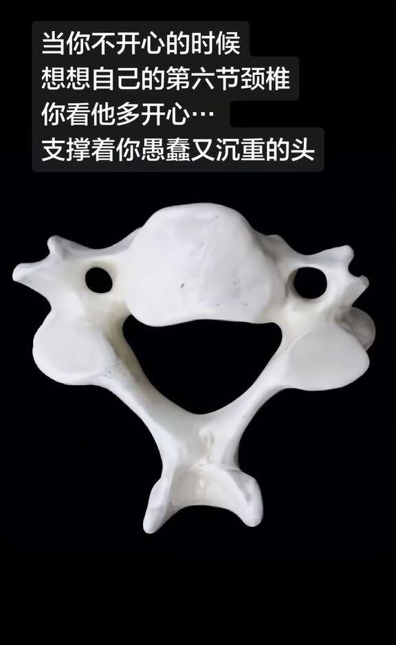 医学生专属情趣