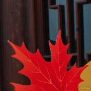 一件事，哪怕再低级不堪，只要存在一段时间，必然会发展出以此得利的群体或个人，这就