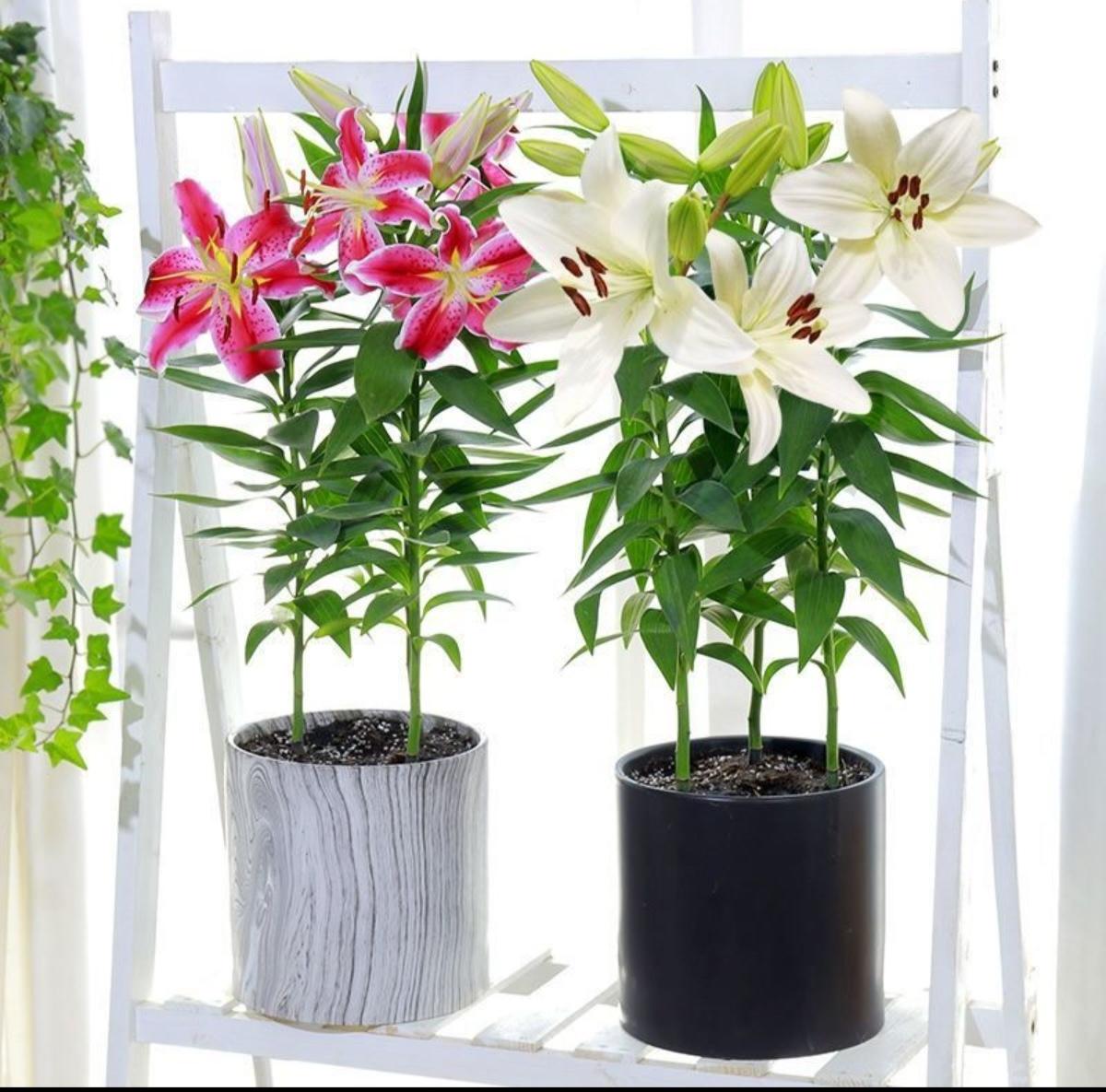 人生需拥有足够的自信。
要给自己树立一个正向的信念：我能够过上更好的生活，我有能