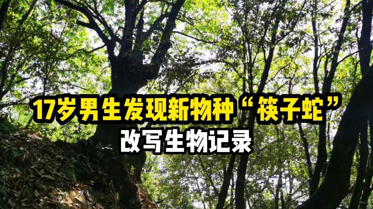 17岁高中生以第一作者发SCI，发现全球唯一“筷子蛇”！中国首个中学生命名爬行动