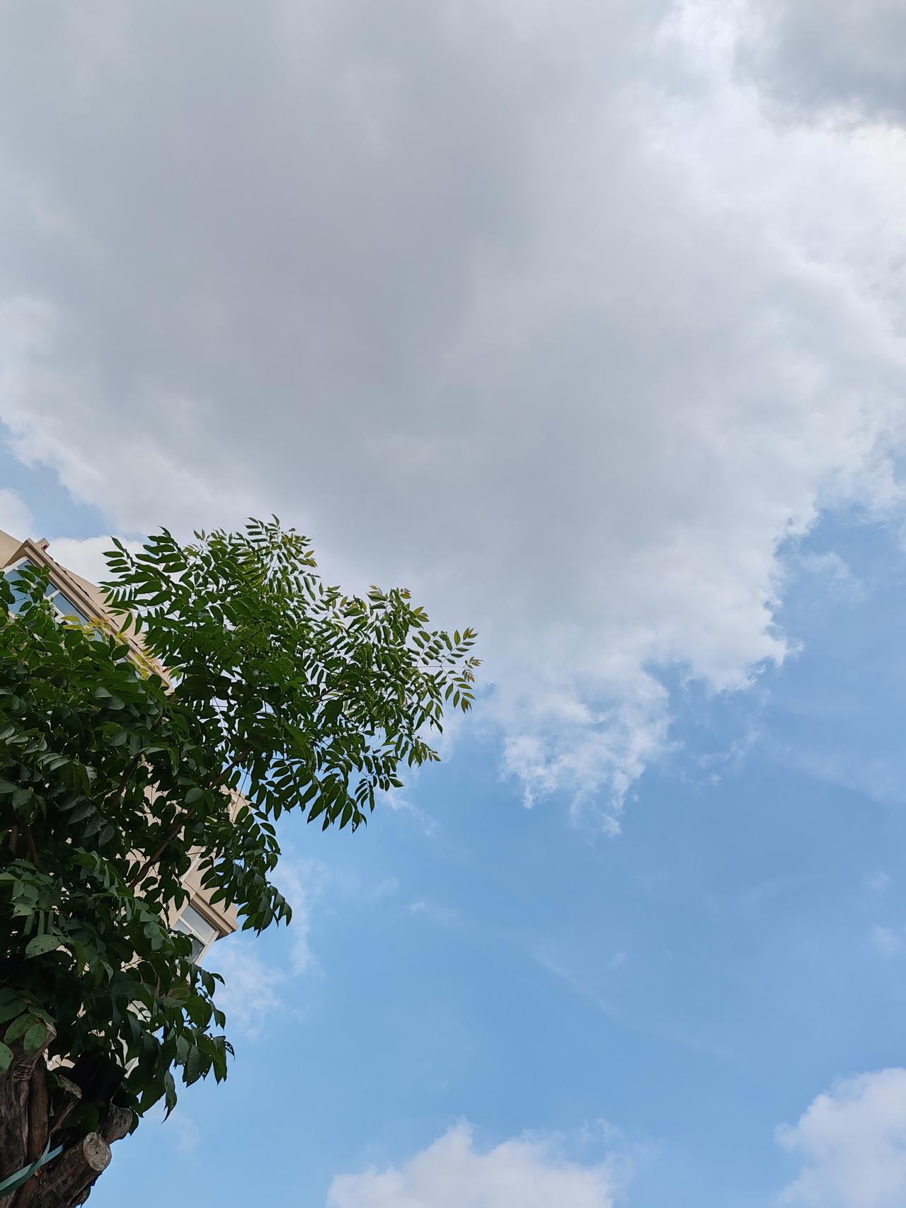 7月随手拍一一七月的云很任性。
