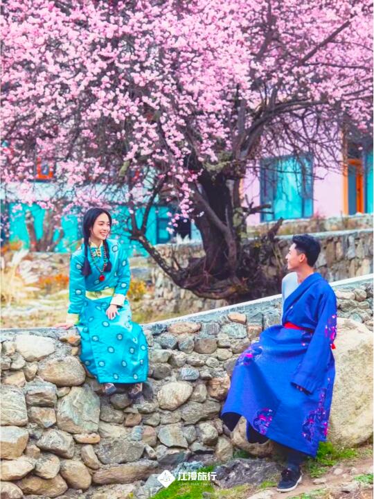 高奢美宿&藏装旅拍🌸 林芝精品小团上车！