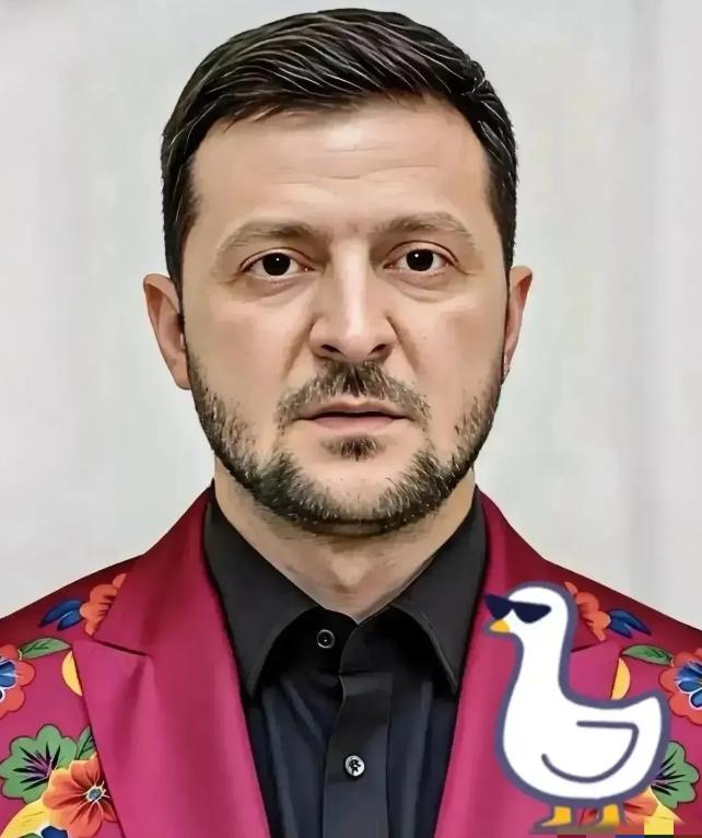 乌克兰消息！
2026年4月3日，乌克兰总统icon泽连斯基扔出一颗“外交炸弹”