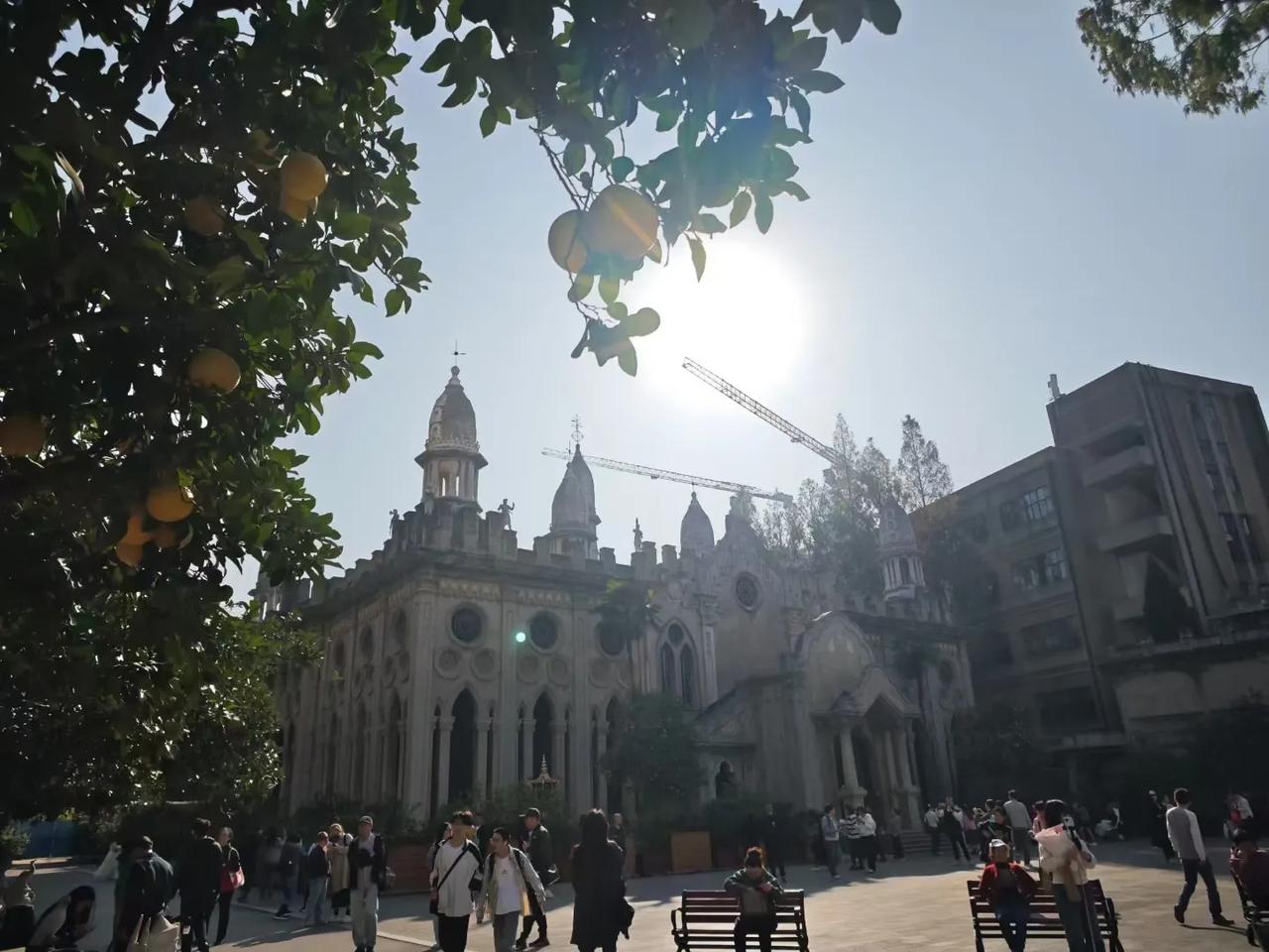 阳光是生活最好的调味剂，它让平淡的日子变得璀璨。在成长的旅程中，珍惜每一道阳光，