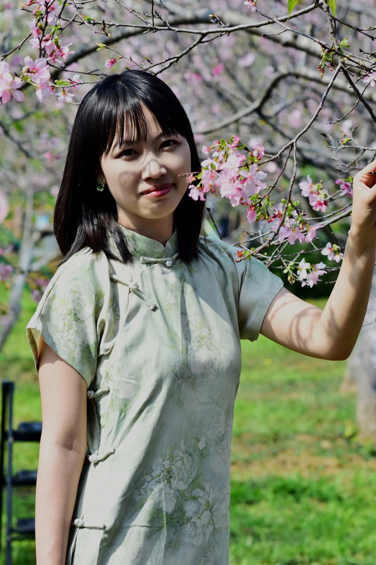 春日花海中的少女，粉色樱花与浅绿色旗袍相映成趣。花丛中的旗袍影 花丛缤纷 杏花美