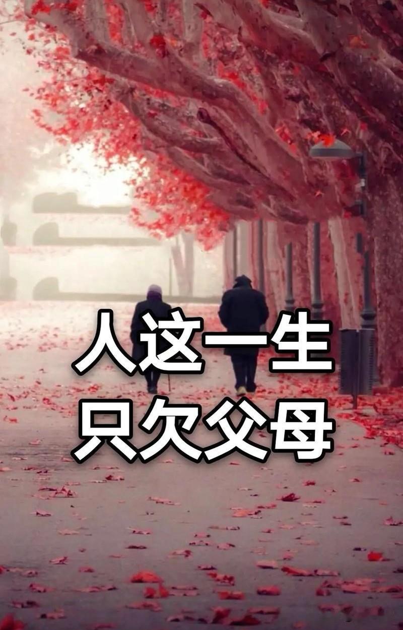 孝心是回家的最近路，陪伴是尽孝的最好方式。
   写下这个标题后，我心里其实是不
