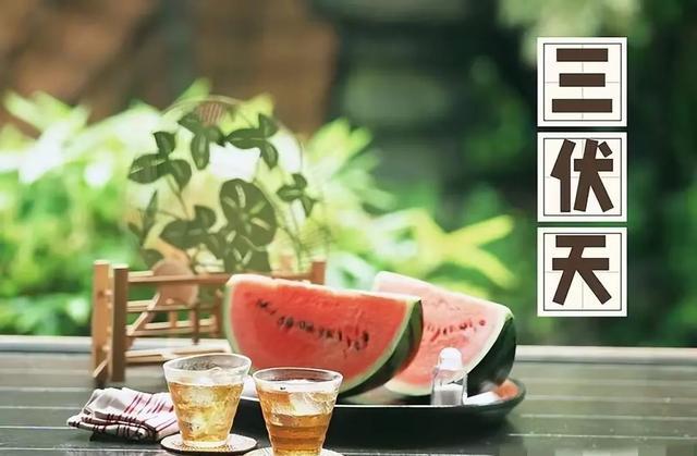 2026年三伏天时间表出炉！今夏是凉爽冷夏吗？老祖宗农谚早有预兆
 
2026年