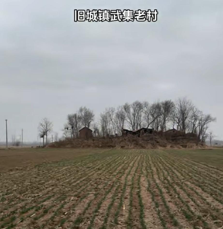 鄄城县旧城镇武集村旧址
元朝建村，祖祖辈辈都在黄河滩里。
以前黄河经常发水，村民