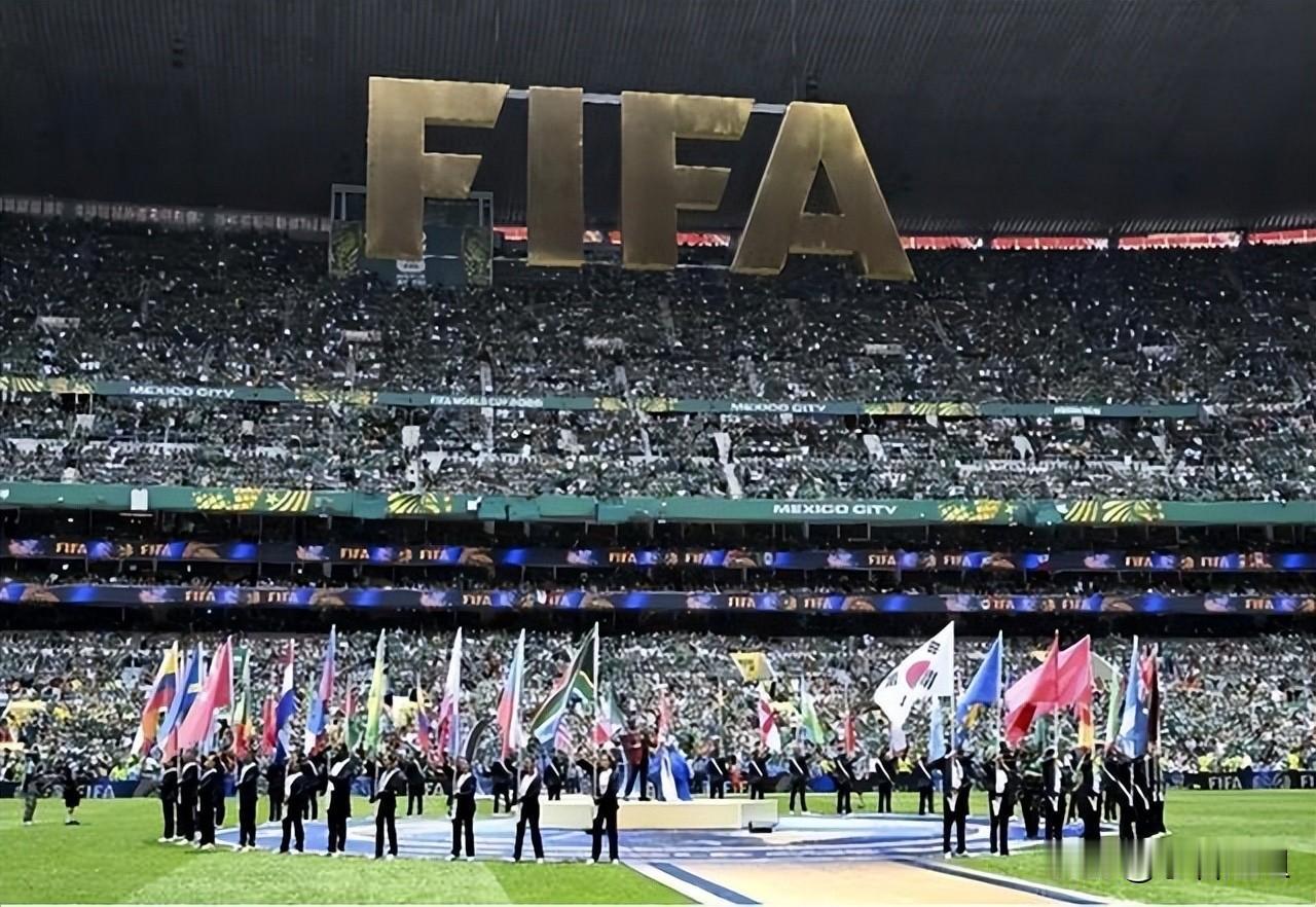 我严重怀疑，
中国坚决不申办世界杯，
真不是因为咱基建不行，而是实在不想当这个“