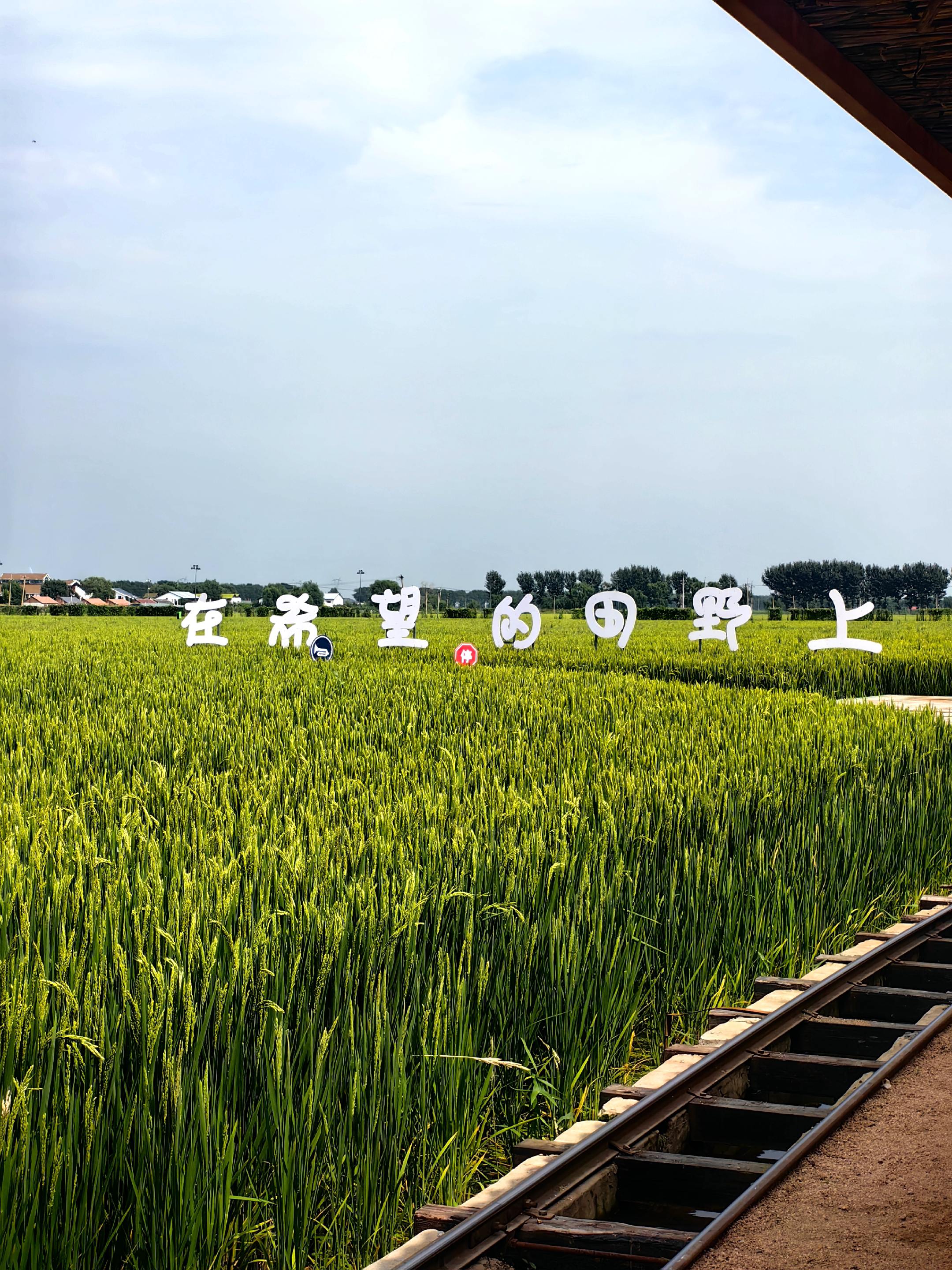 稻梦空间值得游玩，带娃好去处～