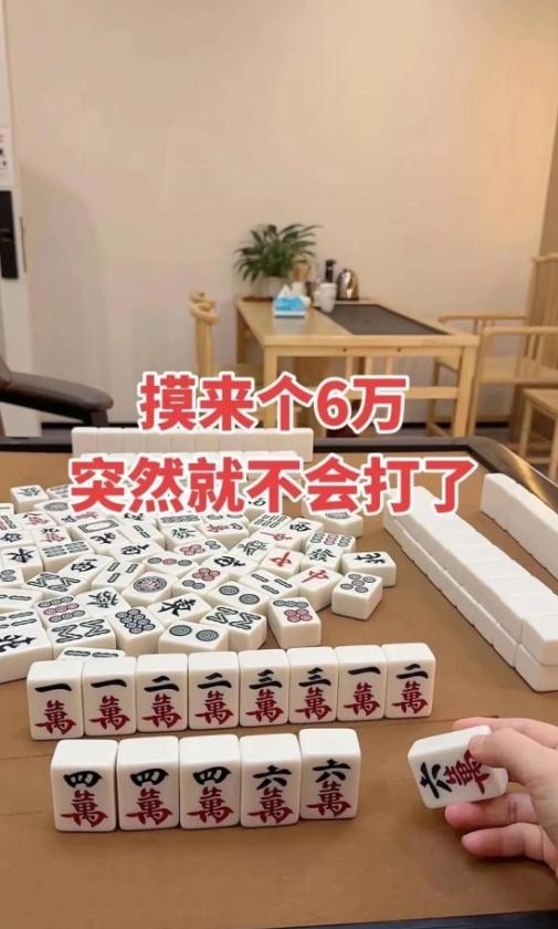 谁懂啊！这手牌摸到六万的瞬间，我大脑直接一片空白！
看着桌上的牌，一万、二万、三
