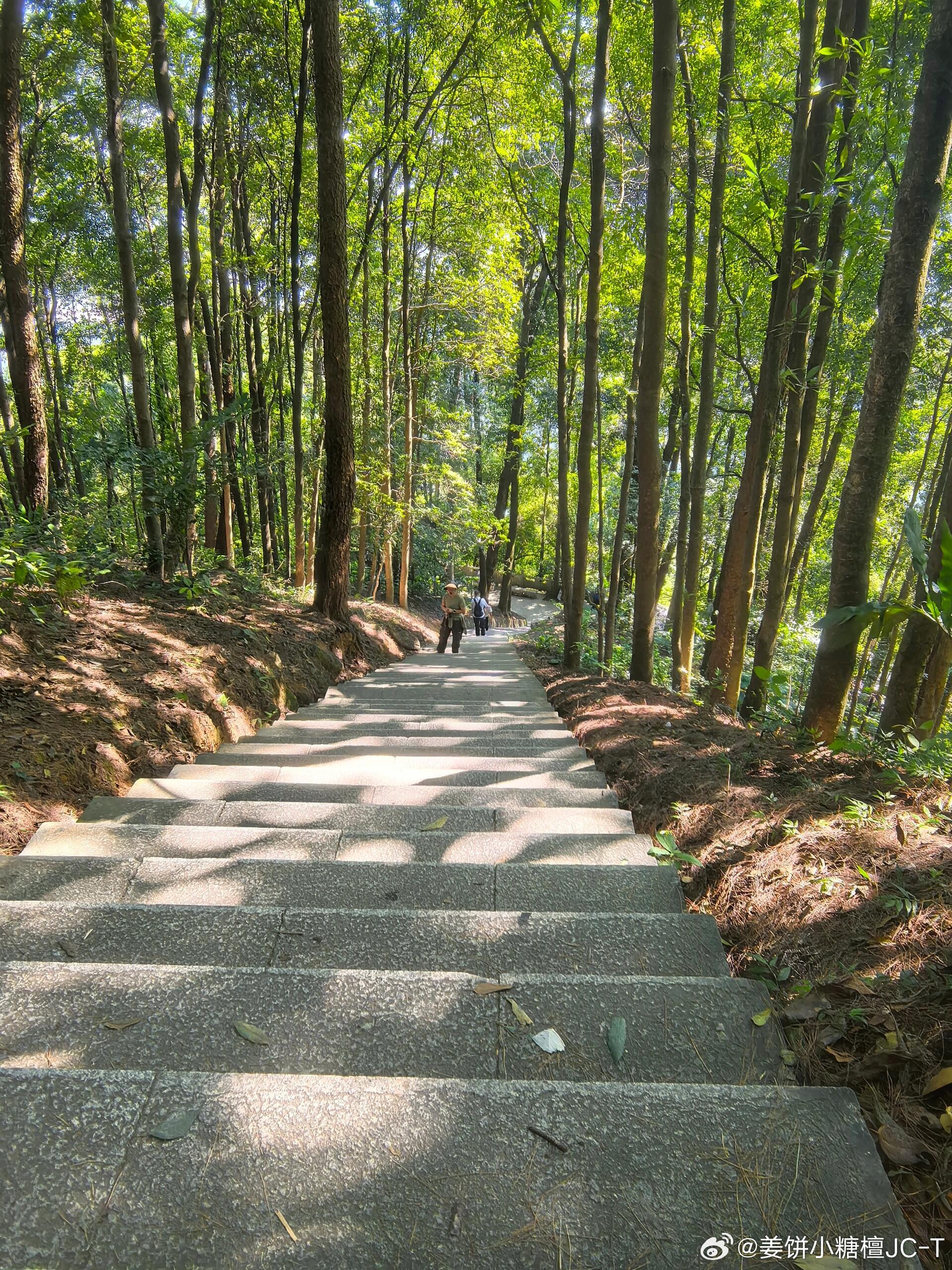 没事我就去爬山。偶尔去爬一下山也能锻炼一下身体