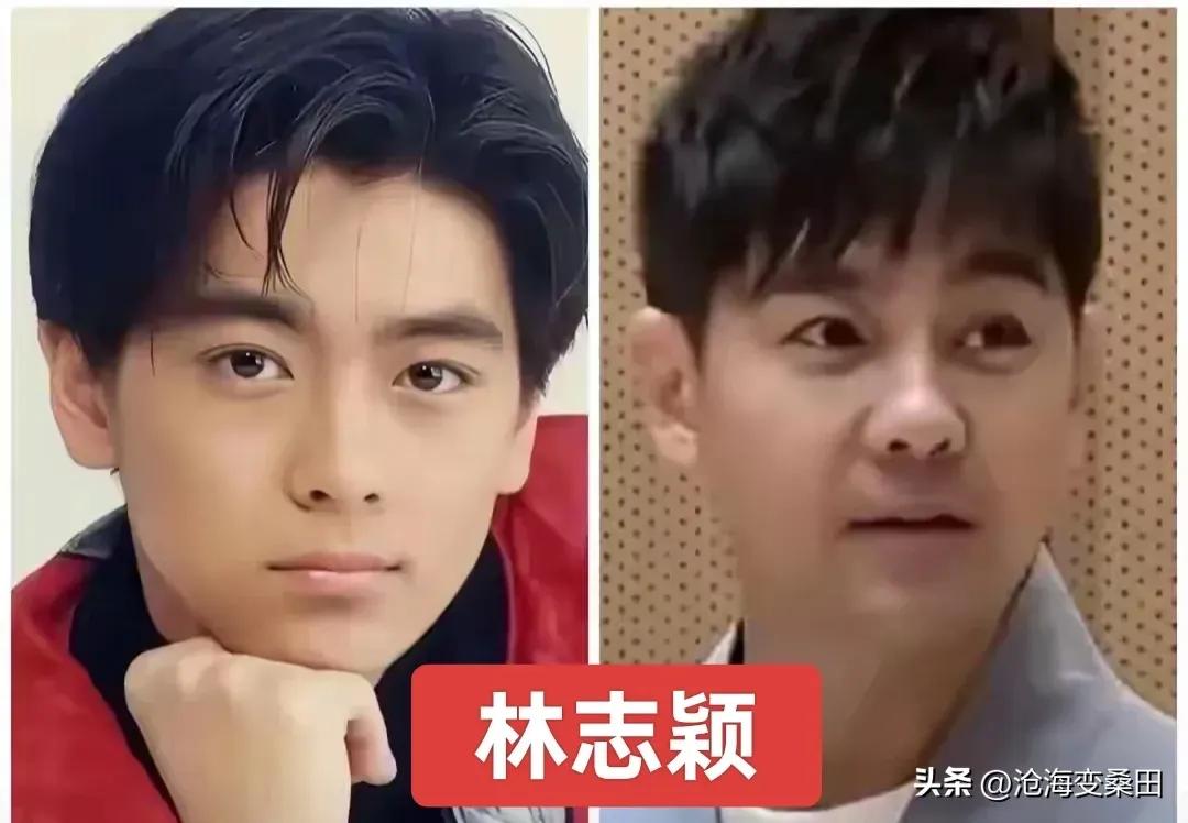 林志颖老了。
钱小豪老了。
任达华老了。
董勇老了。
陈小春老了。
马景涛老了。