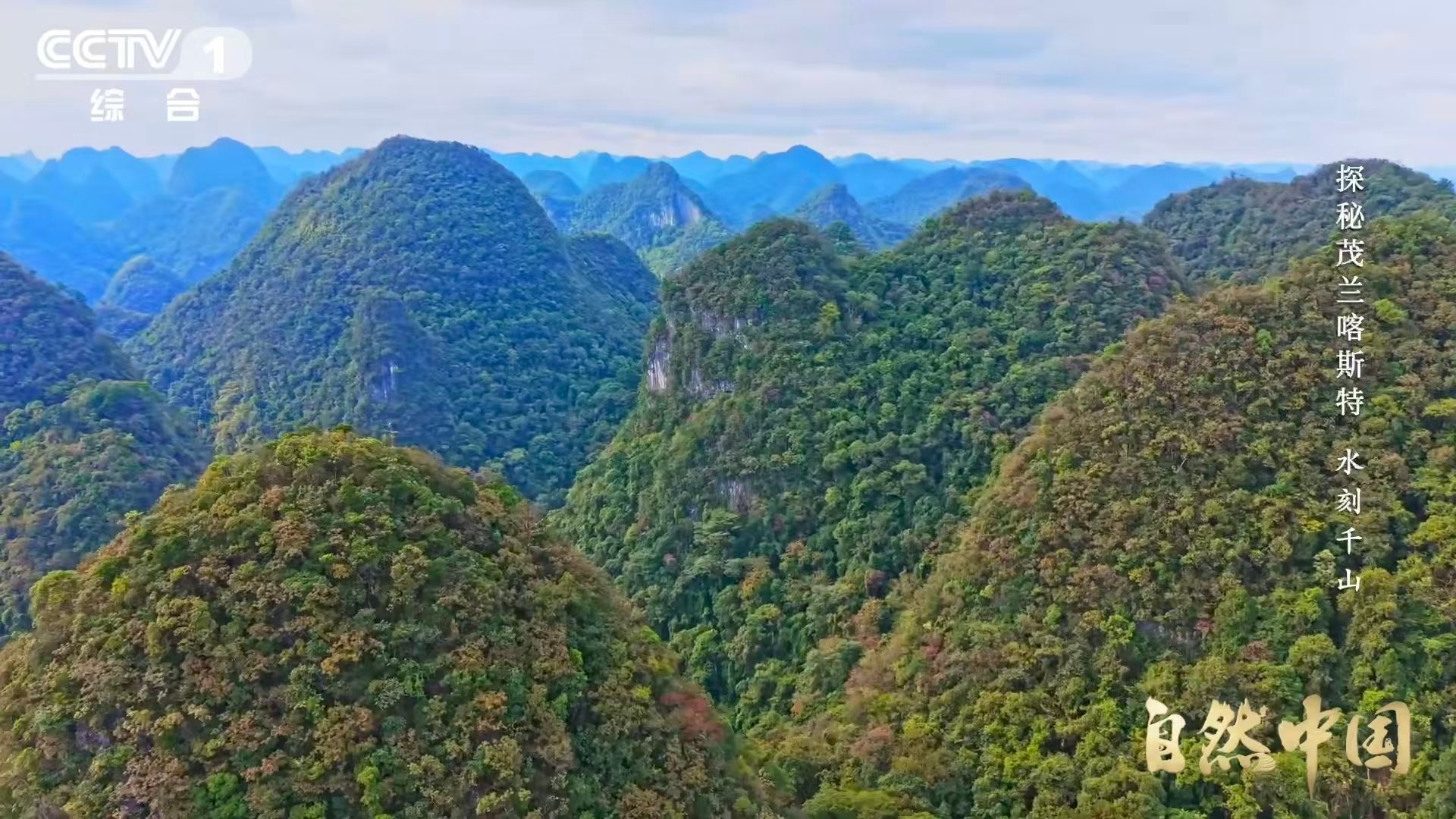 原来贵州曾是大海贵州山顶发现亿万年前珊瑚化石 站在白岩坡顶，脚下是石炭纪的海床。