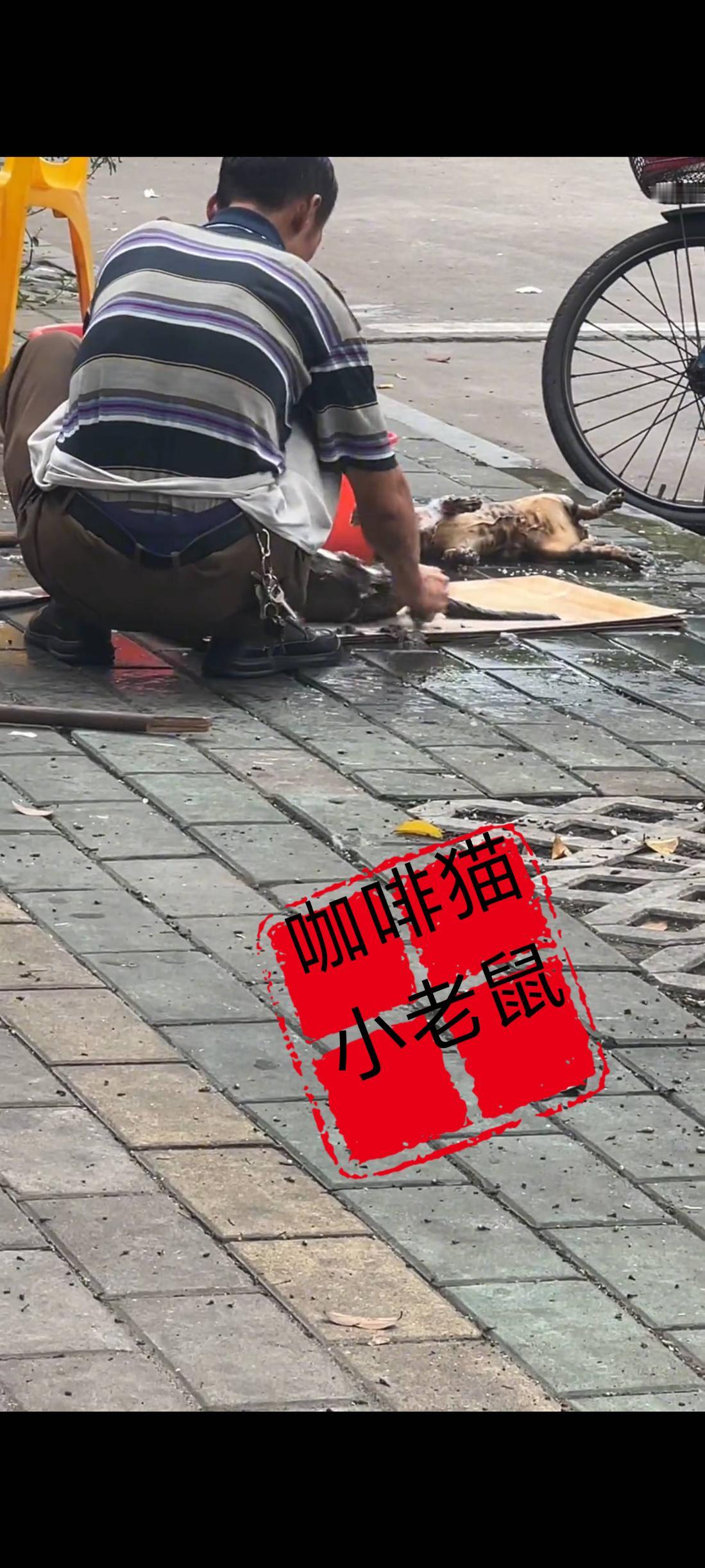 这家店铺的餐饮老板是不是有损道德公约，丝毫没有顾及到她人的感受，也太直接了吧！竟