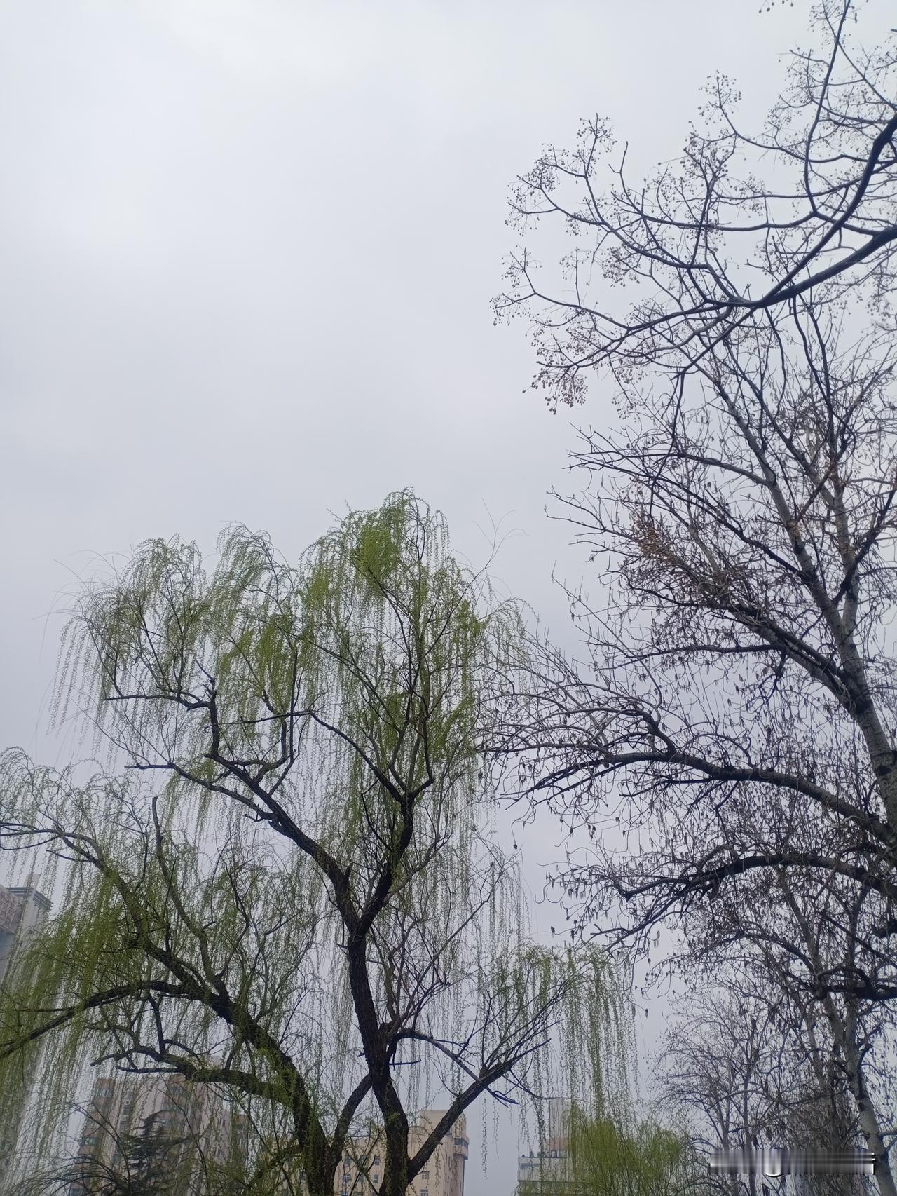 风会熄灭蜡烛，却能使火越烧越旺。
人生的脆弱，源于逃避风险。人生的强大，源于拥抱