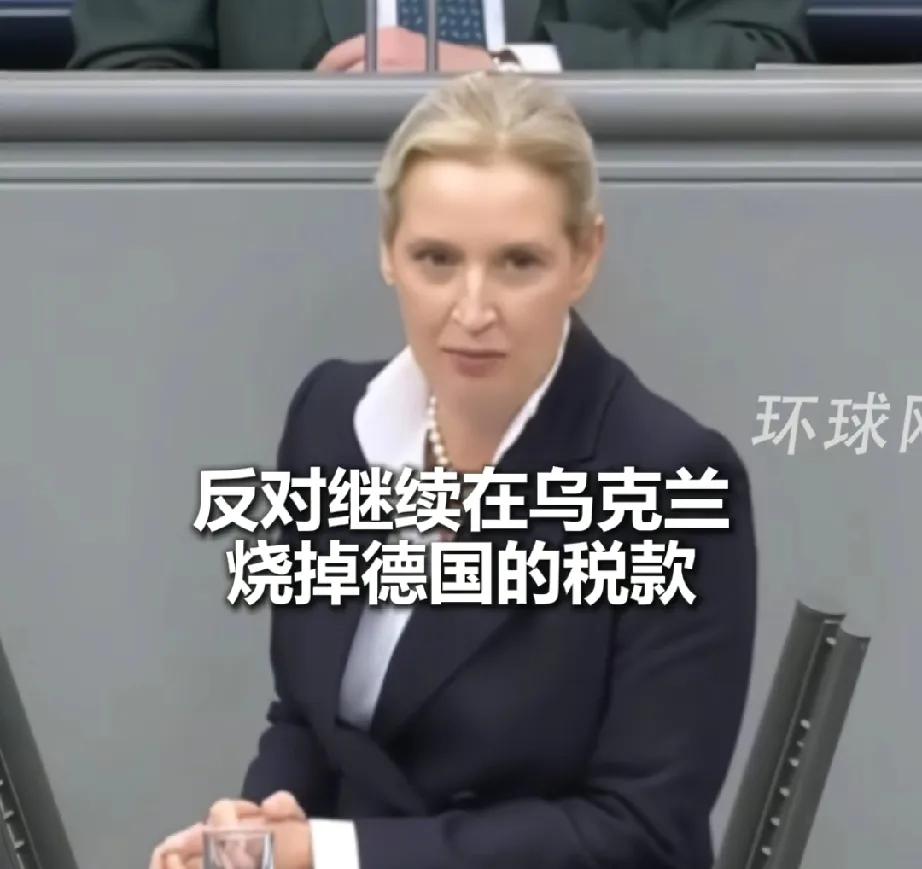 魏德尔发话：乌克兰体量太小，对俄战争注定失败，西方国家应以本国利益为先从而停止援