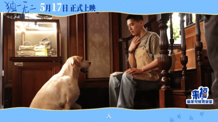 喻家兄妹的青春太真实了 到底有多么真实呢？那诚邀大家都来看一看电影《独一无二》！