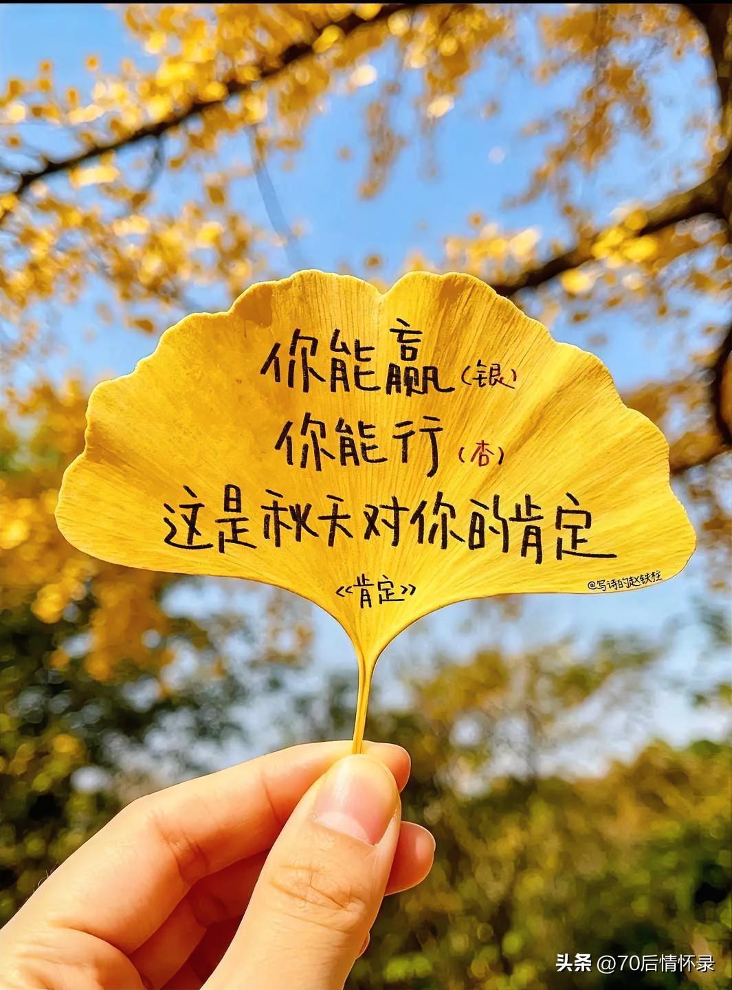 “柴门酒熟留佳客，菜圃花香伴晓昏。”愿日子既有烟火气，眼里有光，生活处处是温柔与