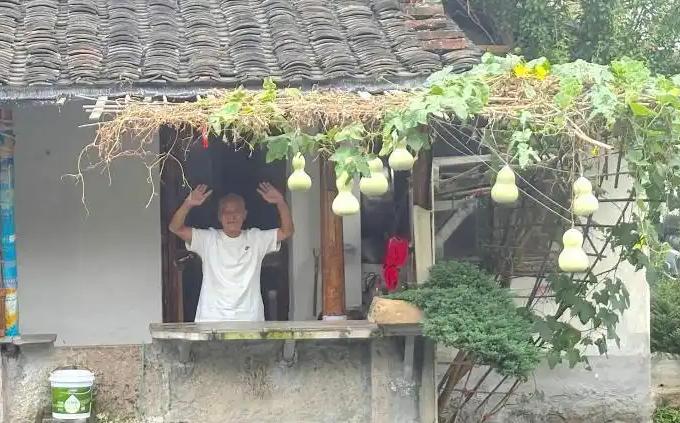 “动画片照进现实”！浙江绍兴，一位70多岁的老爷爷种出了7个葫芦，一眼看过去，瞬