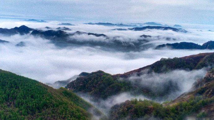 【驼梁景区错峰出行温馨提示】盛夏时节，驼梁气候清凉宜人，前来避暑观光的游客持续增
