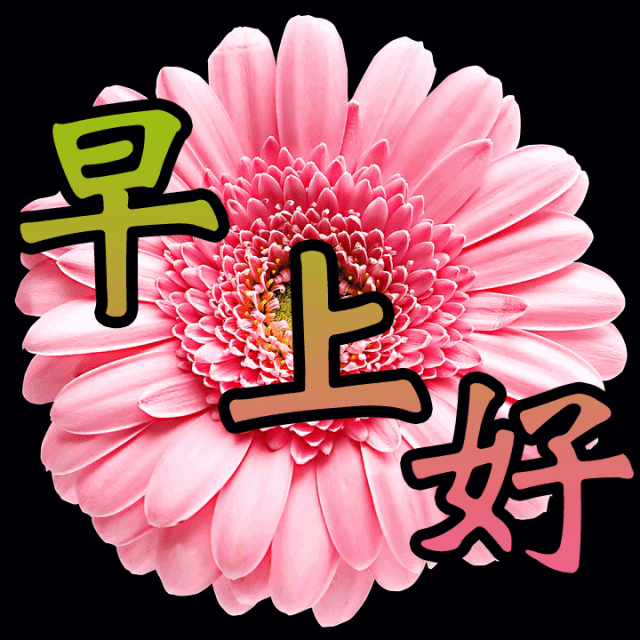 朋友们、早安新的一天，从清醒认知与严格纪律开始。今日周二，战场关键节点，把控好节