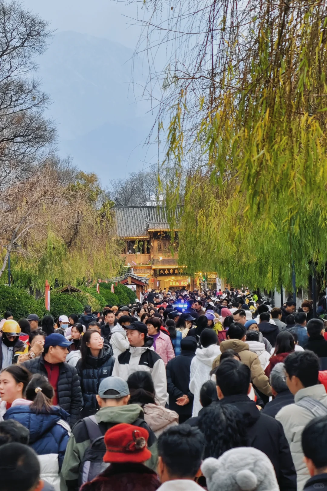 丽江古城。大年初二人流量