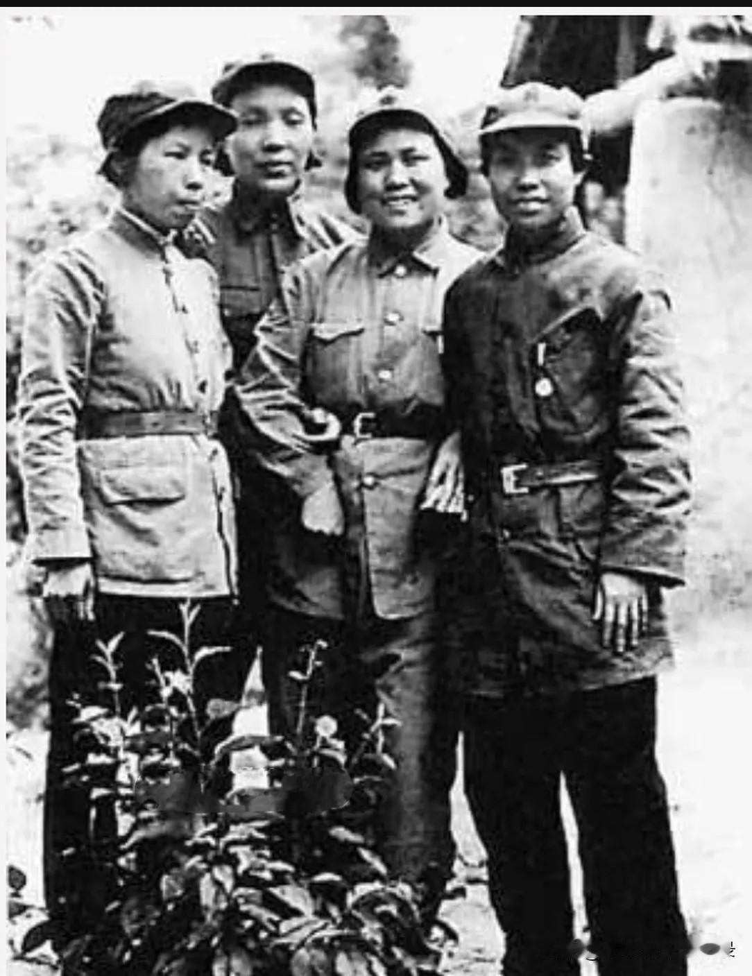 左起陈琮英（任弼时夫人）、蔡畅、夏明（开国少将刘其人夫人）、刘英（张闻天夫人）。