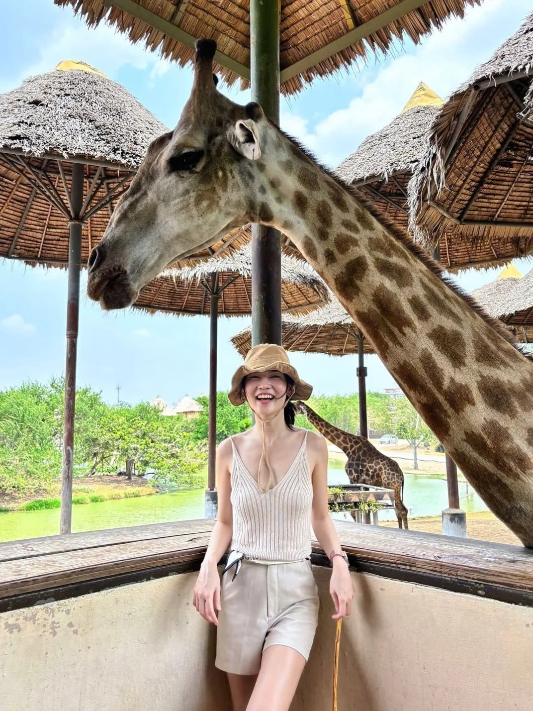 真没去非洲❗️在曼谷Safari World野生动物园