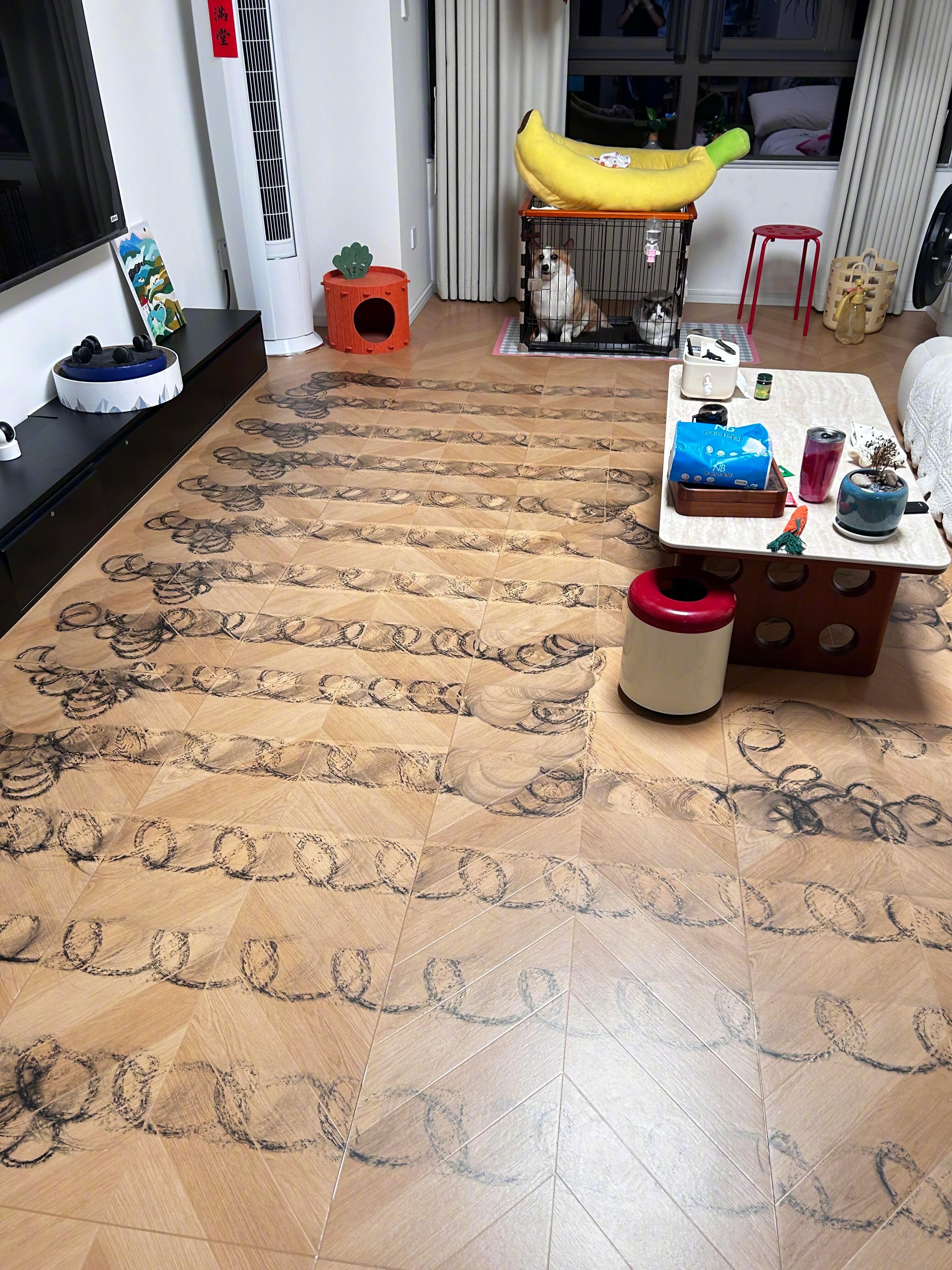 书法养猫人的崩溃瞬间 ​​​