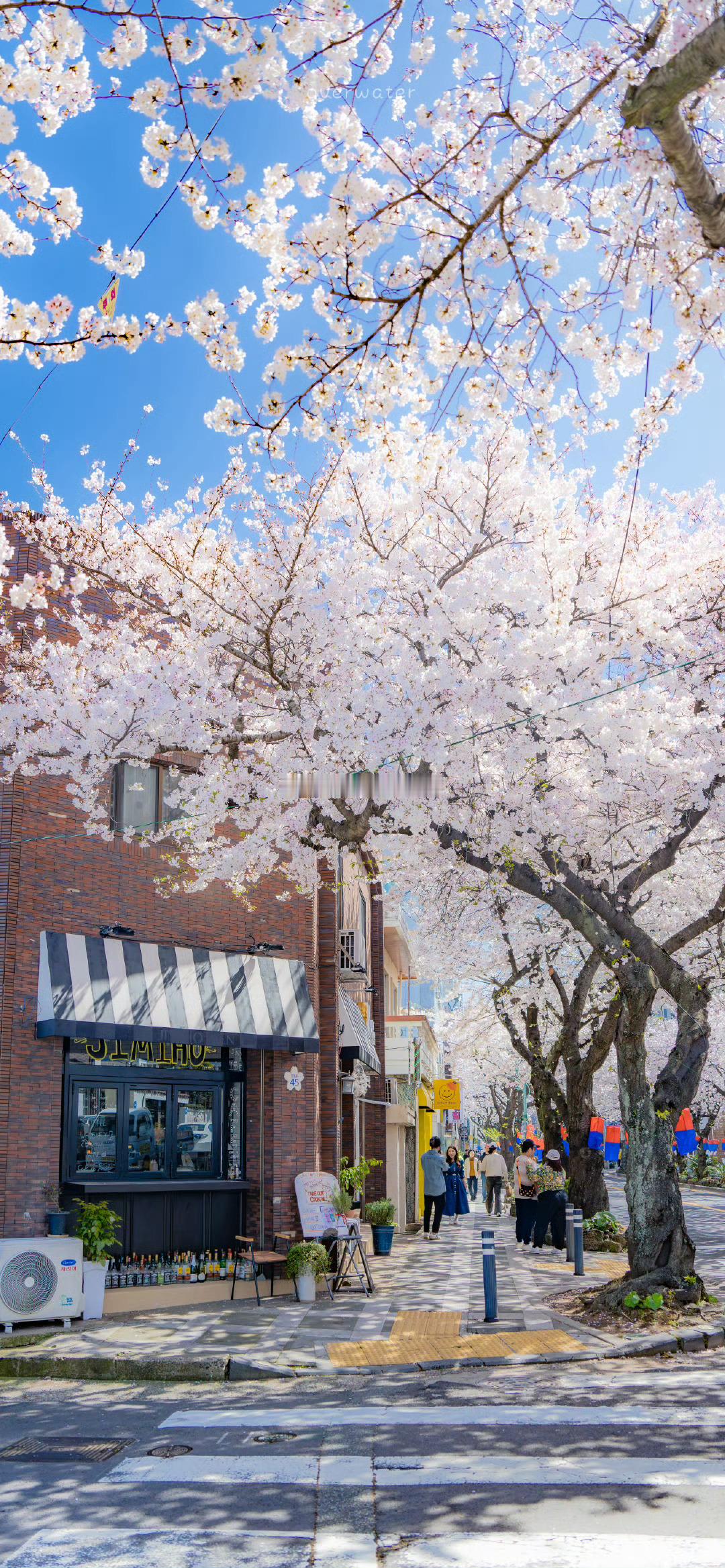 适合发朋友圈的人间绝句1.布衣饭菜，可乐终身。——沈复《浮生六记》2.常想一二，