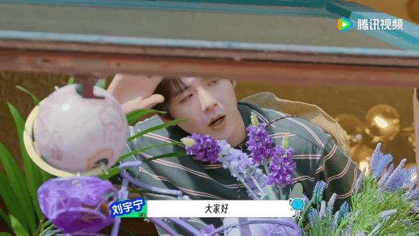 李乃文刘宇宁洋相还得洋国出 “大家好我是全世界最可爱的大笨蛋刘宇宁”，明明是最甜