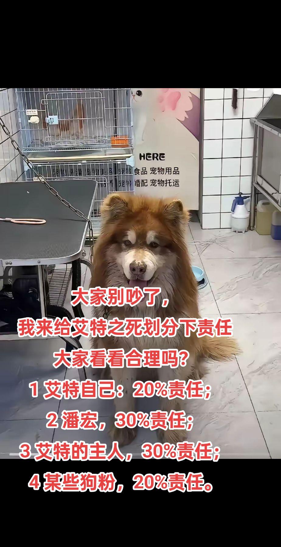 狗子成精了