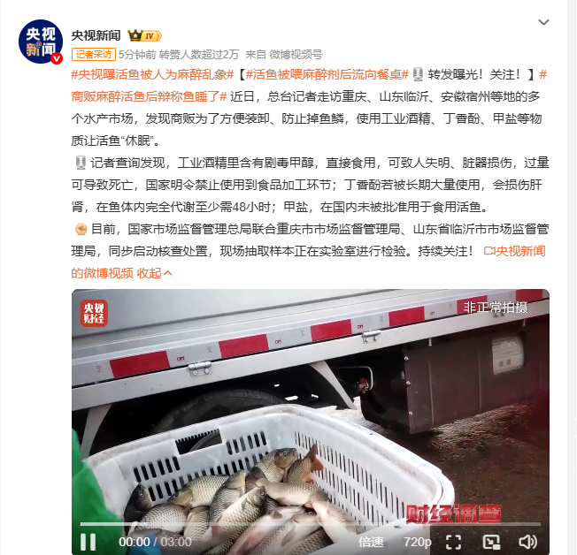央视曝活鱼被人为麻醉乱象央视曝活鱼被人为麻醉乱象 有记者调查发现，重庆、临沂等地
