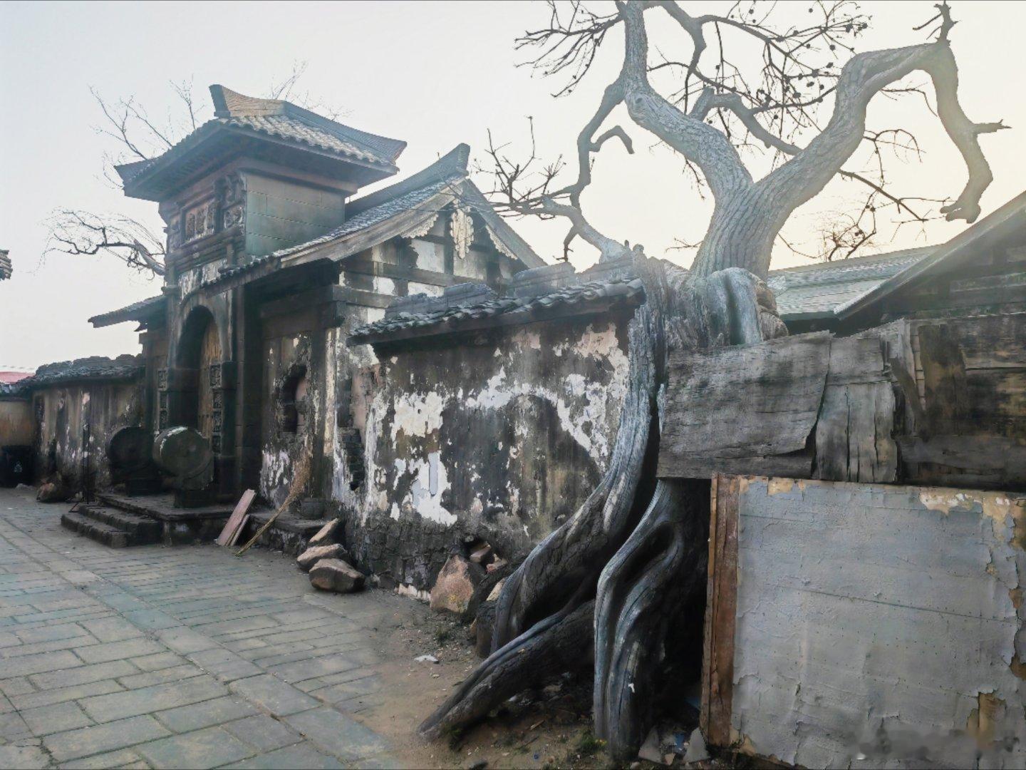 断壁残垣映旧廊，苍枝虬曲倚颓墙。流年尽付尘烟里，空留庭阶岁月长。在酒店附近发现了