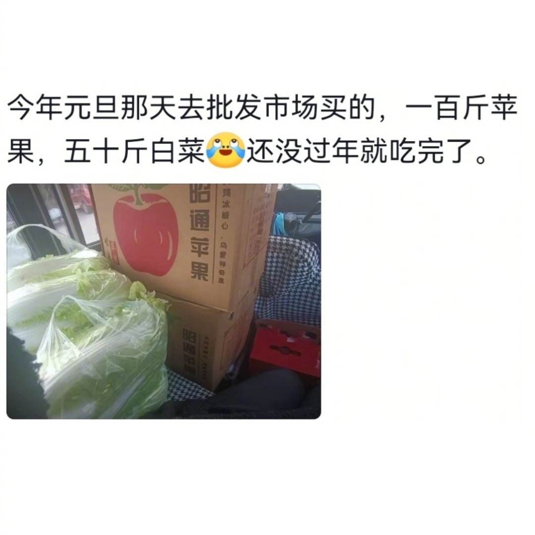 城巴佬不许写末世文