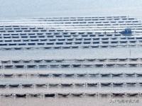 2026年中央一号文件给咱老百姓的餐桌带来了新变化！这份重磅文件明确提出要构建多