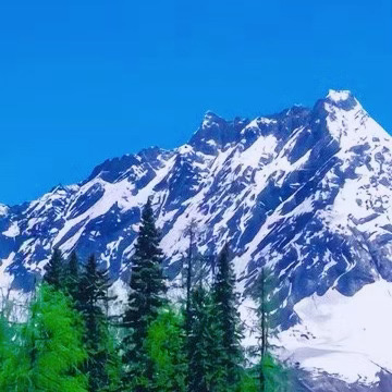日行一善 💚 阳光信用 善不可不弘，恶不可不去。善心人人有，快乐你我他。善念养