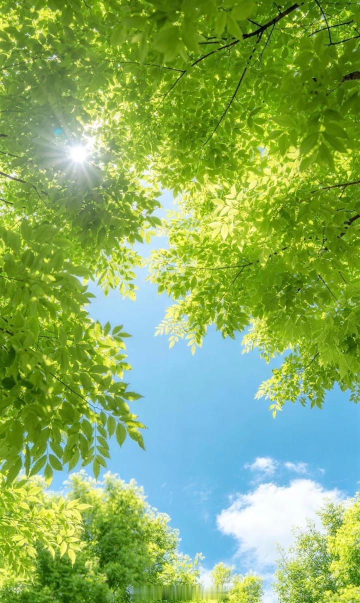 风一吹，心事就轻了路一走，脚步就稳了山野里的一草一木，都在告诉我生活值得慢慢走，