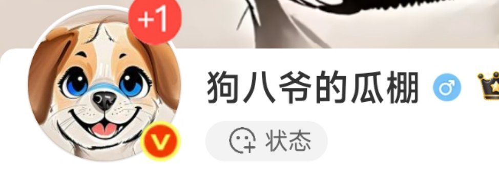 我靠wb界面改成啥玩意儿了，砸还有在线状态？？？？？？ 怎么有的人有，有的人没有