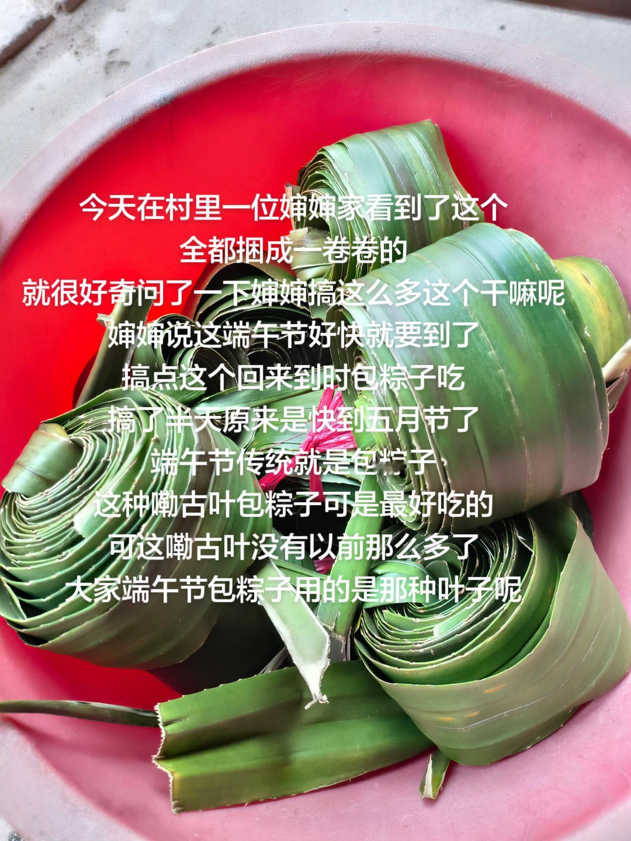 今天在村里一位婶婶家看到了这个
全都捆成一卷卷的
就很好奇问了一下婶婶搞这么多这