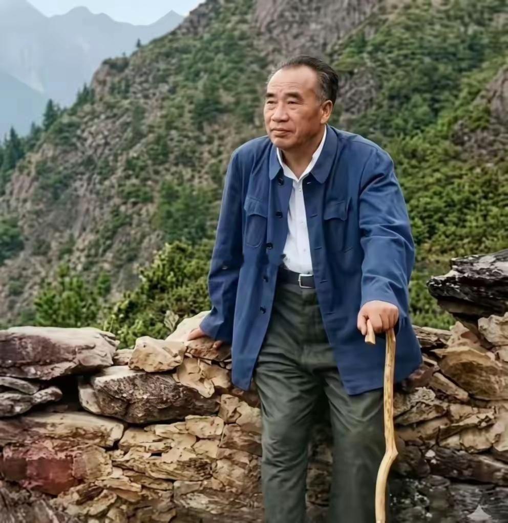 朱老总重游井冈山。