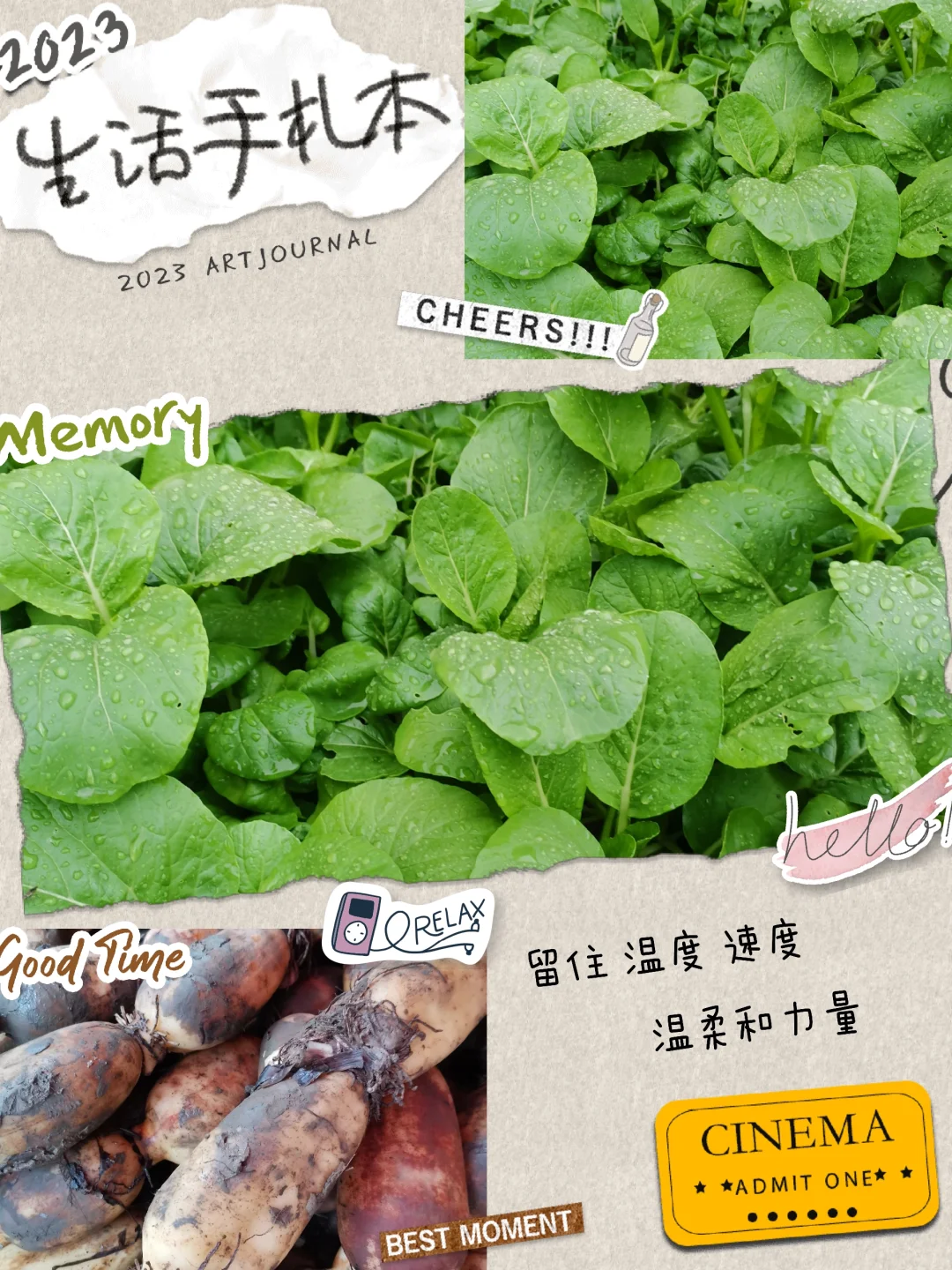 顺应天时，立秋后蔬菜吃什么