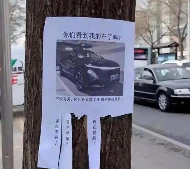 属实被这位车主装到了！树上贴告示假装找车，实则单纯炫耀爱车，画风清奇自带笑点，妥
