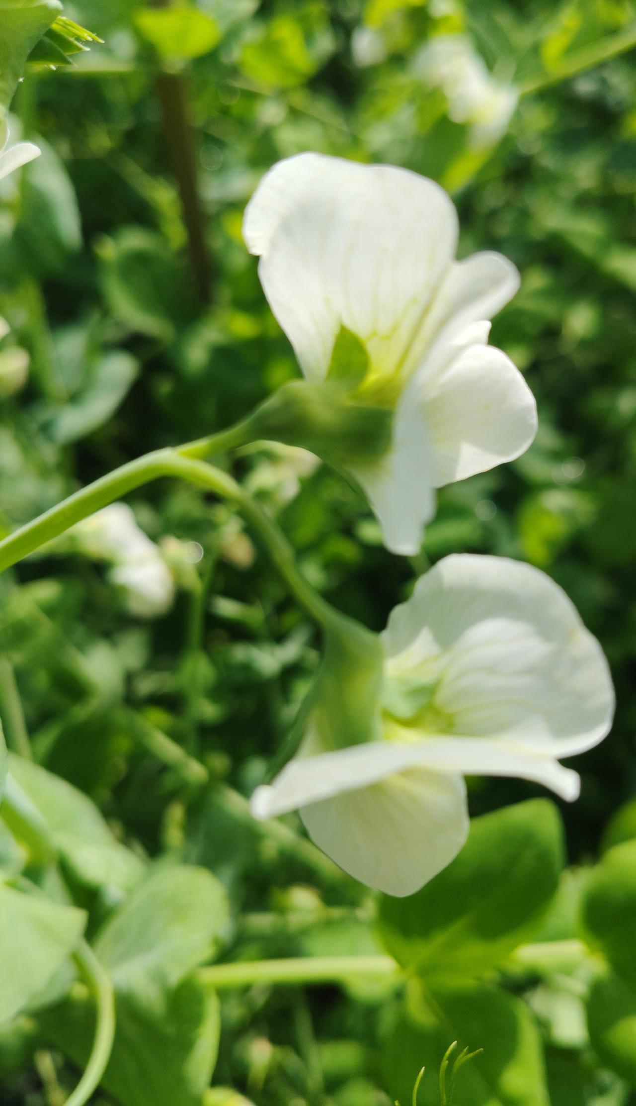 《淡定从容的最高境界？别急，先学会笑着挨打！》

说起“淡定从容”，咱们大多数人