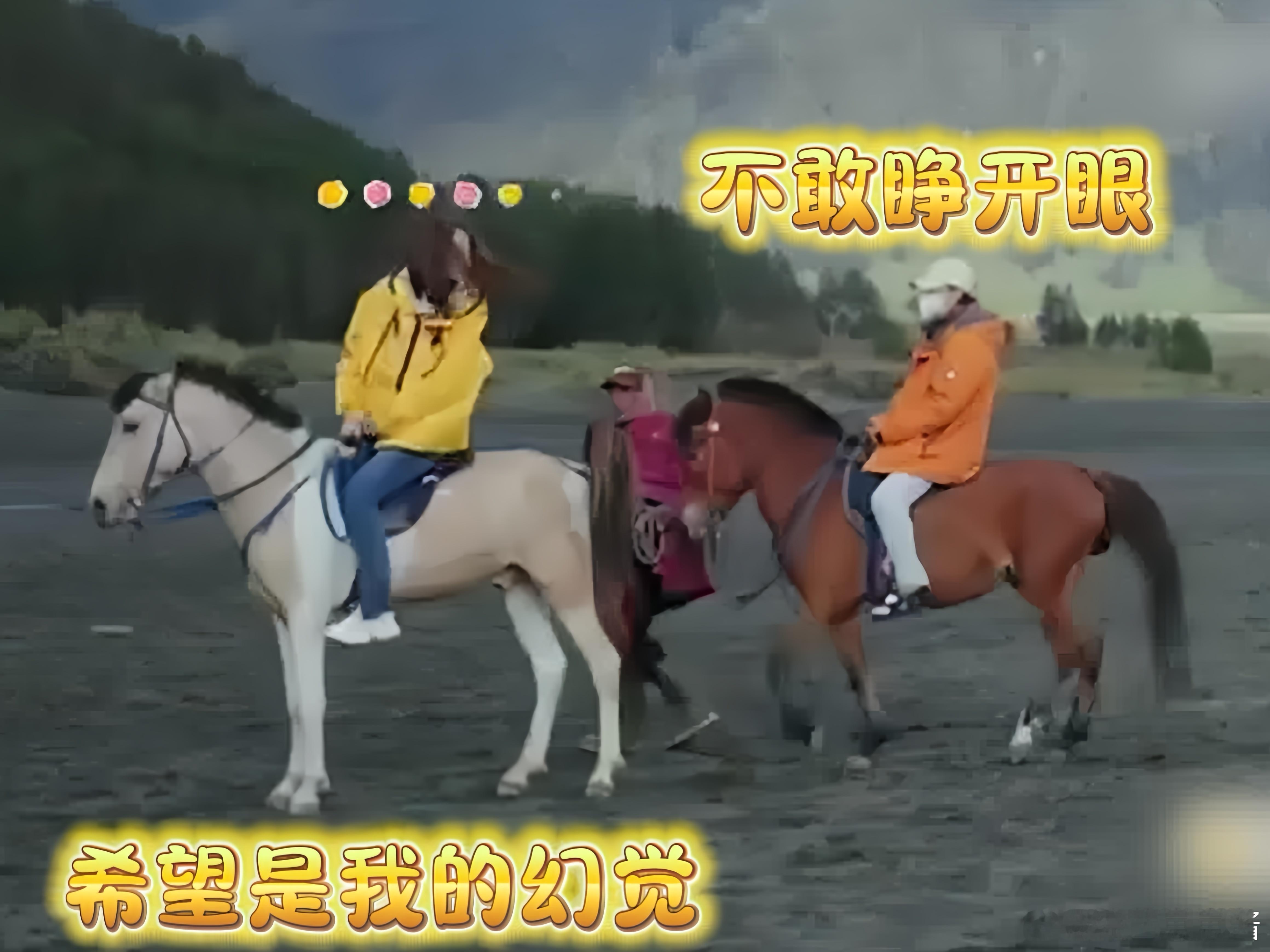 李小冉骑的马一边走路一边拉屎 怎么也没有想到李小冉骑的马居然会一边走路一边拉屎，