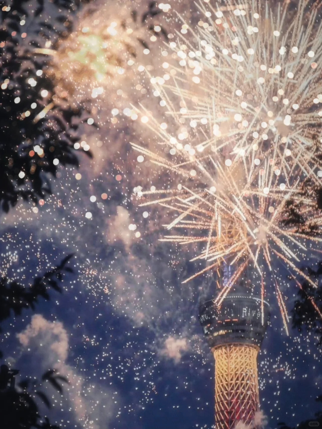 新年烟花壁纸 ‖ 元旦小众氛围感壁纸 ‖ 素材分享 