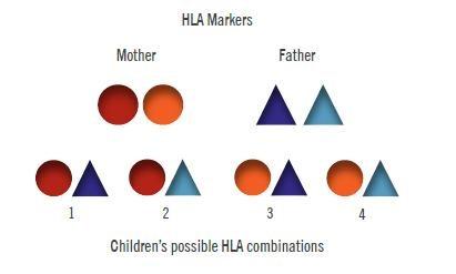 组织型（HLA）亲子鉴定。20世纪70年代，科学家终于从血型里面跳出来，做组织分