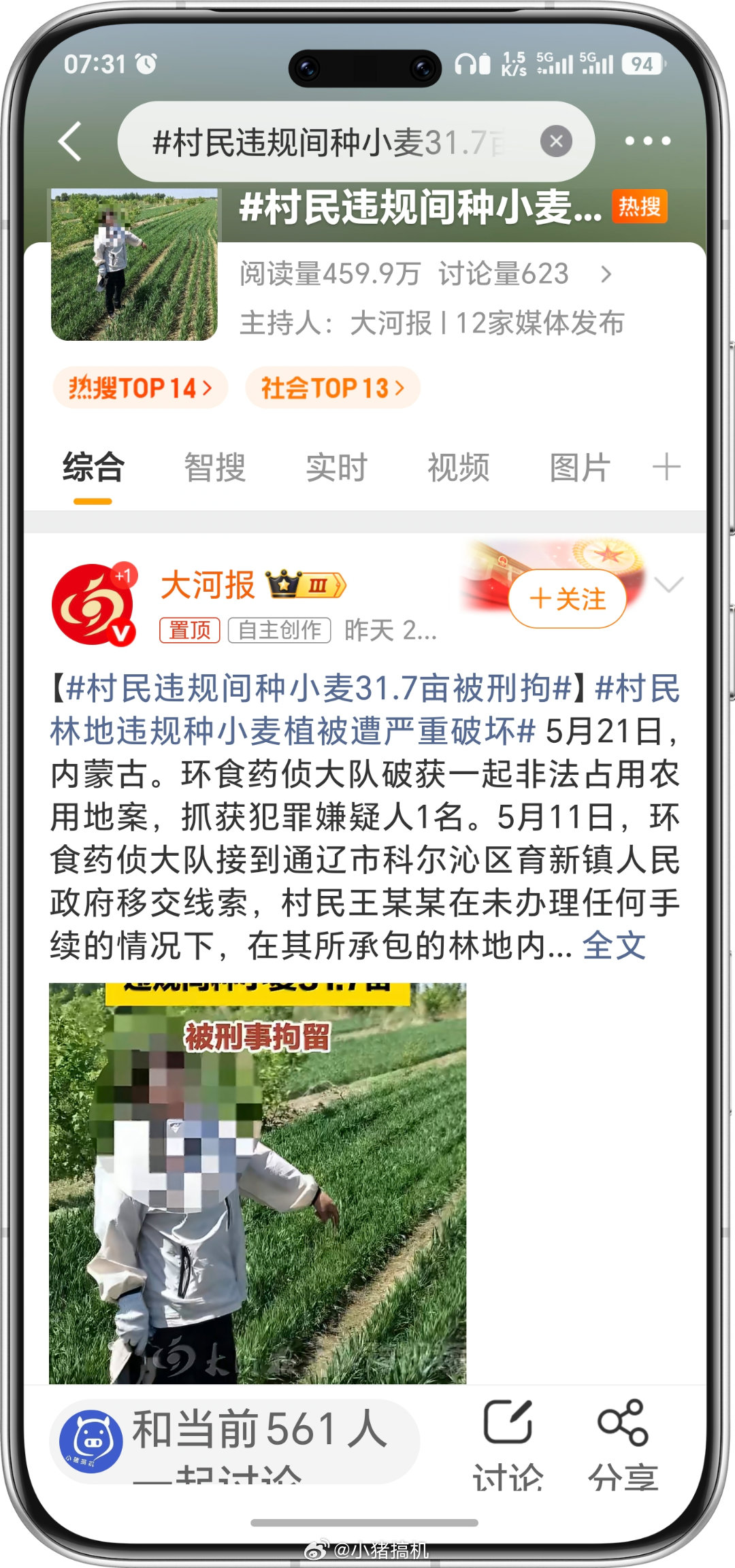 村民违规间种小麦31.7亩被刑拘很多人疑惑种粮食为啥被拘，法理其实很清晰！涉案地