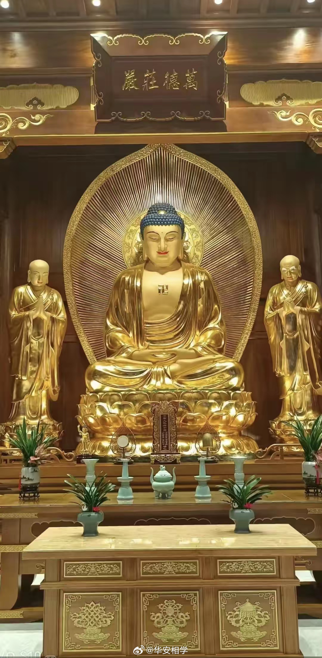 【许愿池第1516期】许愿祈福的时候到了，心诚则灵，有求必应🙏🙏🙏 